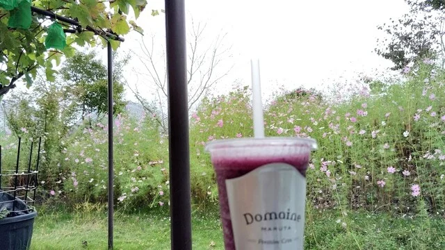 アンテナショップ 葡萄の杜 まるた - 山下（ジューススタンド）の写真