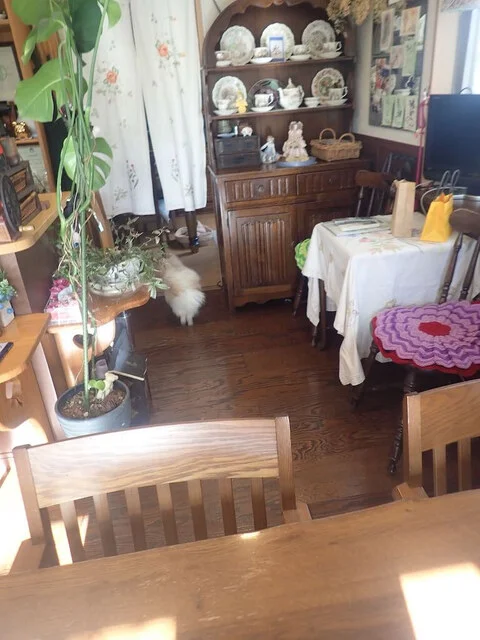 アマノ - 泉中央（カフェ）の写真