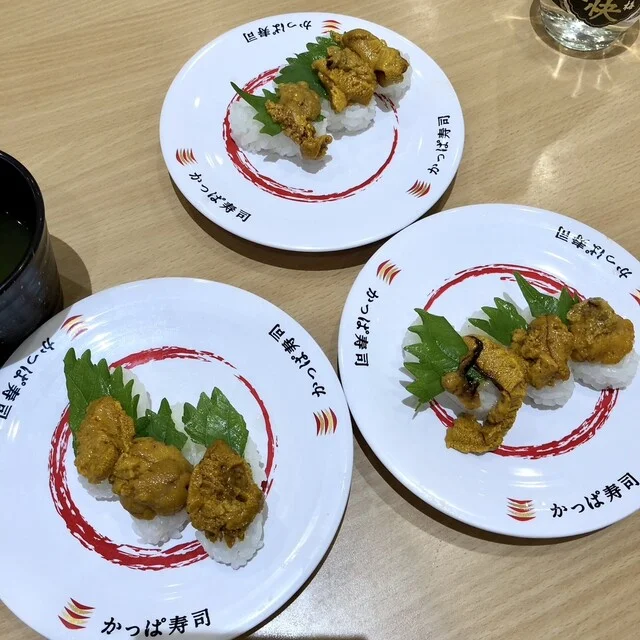 かっぱ寿司 十和田店 - 十和田市（回転寿司）の写真