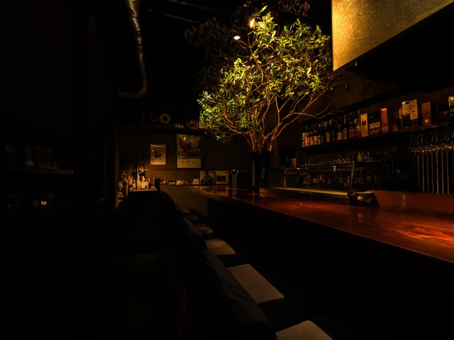 洋酒と焼き鳥 火鳥 HINOTORI（【旧店名】火鳥 ロアゾドフウ） - 勾当台公園（焼き鳥）の写真