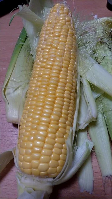 小田桐農園 - 岩木町その他（その他）の写真