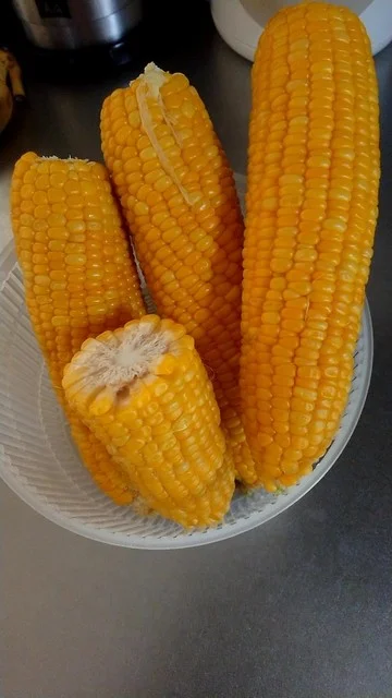 小田桐農園 - 岩木町その他（その他）の写真