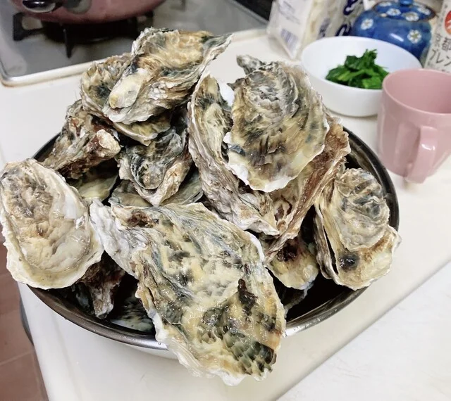 松島地区漁業組合 生かき直売所 - 松島（その他）の写真