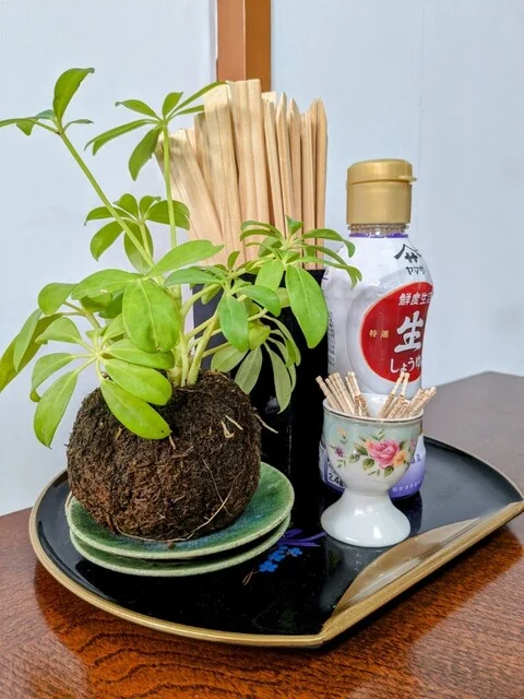 お食事処桜 - 東船岡（日本料理）の写真