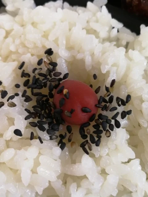 風と大地のおかず家 - 白石（弁当）の写真