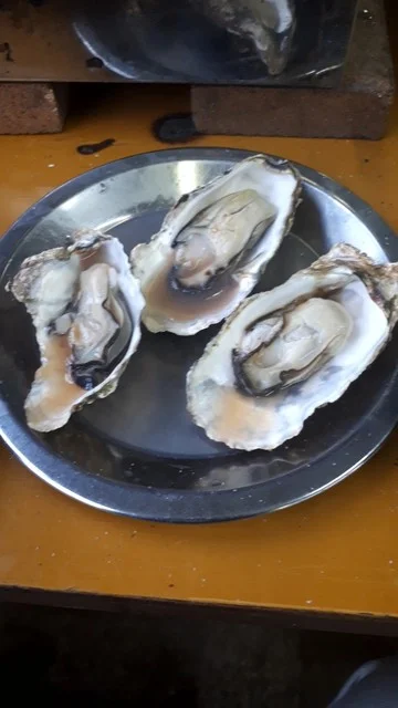 旬味 かきの里 - 高城町（シーフード）の写真