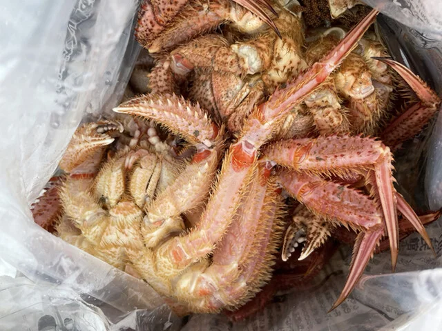 平初鮮魚店 - 女川（その他）の写真