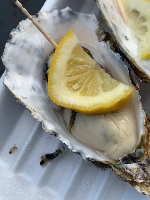 戸田金商店 - 松島海岸（食堂）の写真