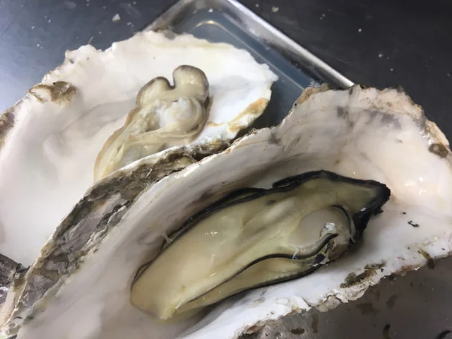 かき焼処 - 陸前浜田（かき）の写真