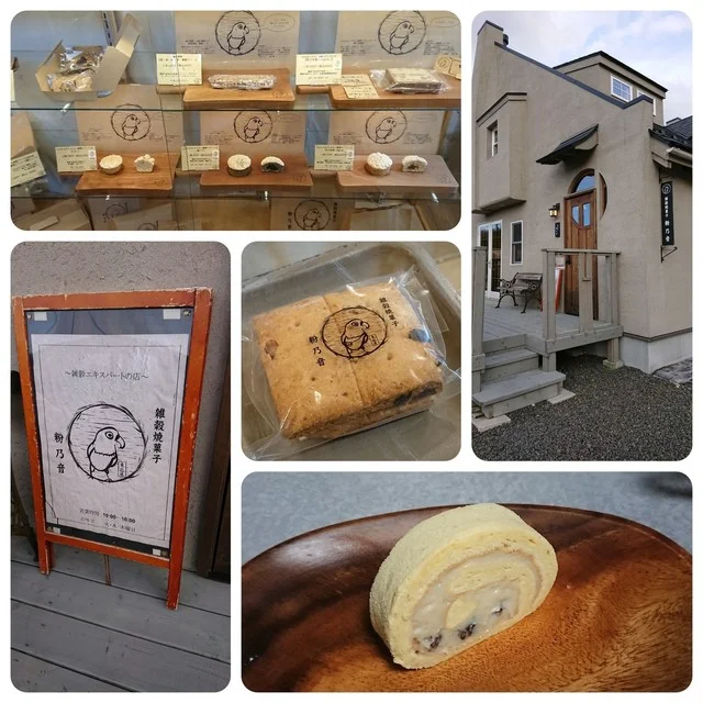 雑穀焼菓子 粉乃音（雑穀焼菓子 コノネ） - 国見（洋菓子）の写真