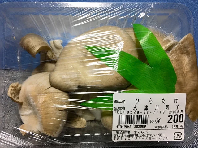 さくらっこ - 田尻（その他）の写真