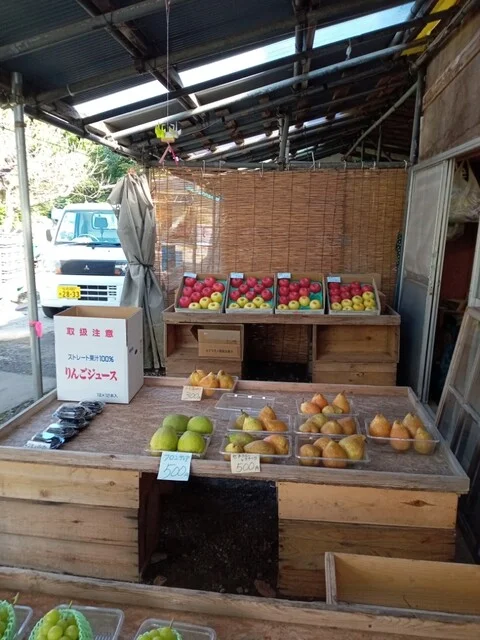 三国農園 - 中央弘前（その他）の写真