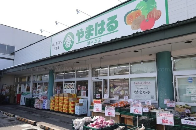 やまはる 旭ヶ丘店 - 白銀（その他）の写真