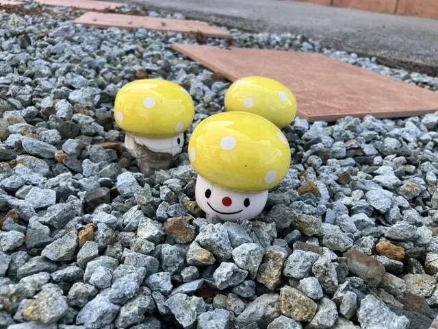 かぼちゃ - 下馬（カフェ）の写真