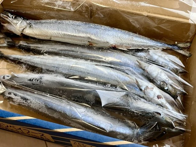 さんまのヤマホン 女川ハマテラス店 - 女川（売店）の写真