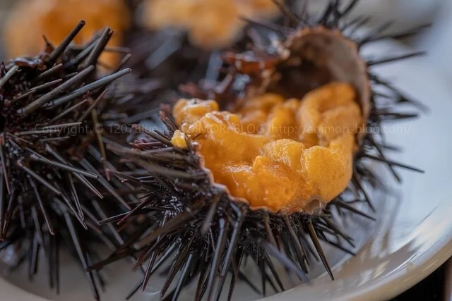 正立食堂（まさだてしょくどう） - 浅虫温泉（食堂）の写真