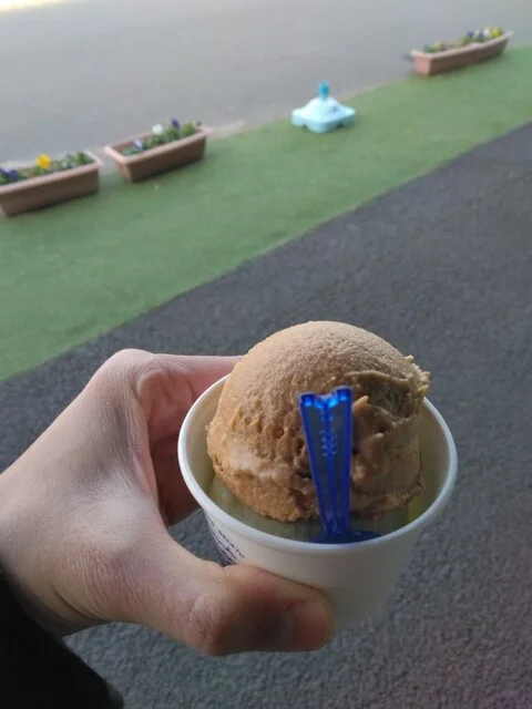 MINAMO GELATO（ミナモ ジェラート） - 美田園（ジェラート・アイスクリーム）の写真