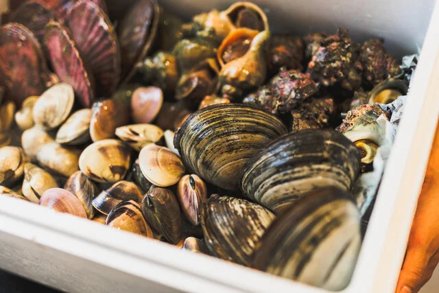 青森屋がほんず 仙台駅店 - 仙台（居酒屋）の写真