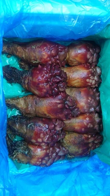 気仙沼 海の市 - 南気仙沼（その他）の写真