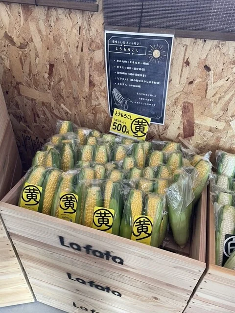 美食農園 ラ・ファータ 2nd 北釜ハウス（La fata） - 仙台空港（その他）の写真