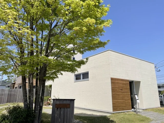 primo（プリモ） - 杜せきのした（イタリアン）の写真