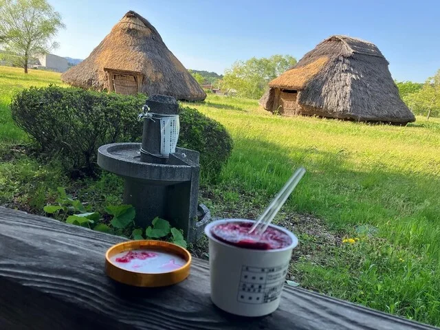 あやめの里 - くりこま高原（その他）の写真