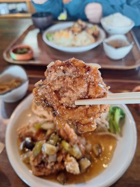 平成の森 - 歌津（その他）の写真