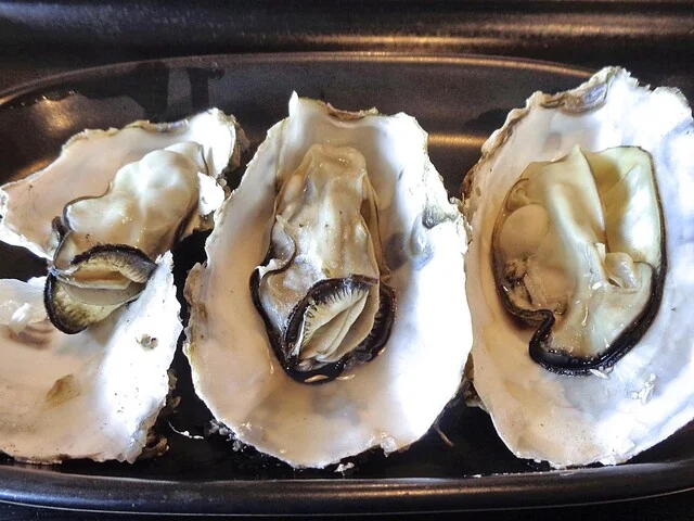 ゴザイン（Gozainn） - 女川（シーフード）の写真