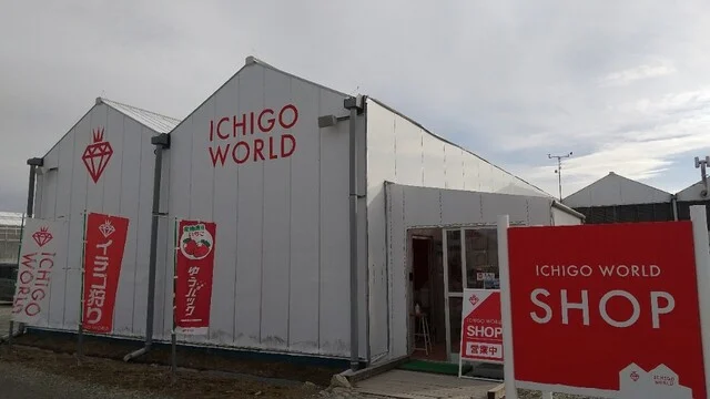 イチゴ ワールド（ICHIGO WORLD） - 山下（その他）の写真
