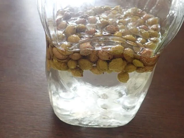 エコロジーショップエナジー（エコロジーショップenergy） - 榴ケ岡（その他）の写真