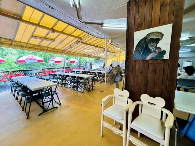 森の食堂 - 八木山動物公園（食堂）の写真
