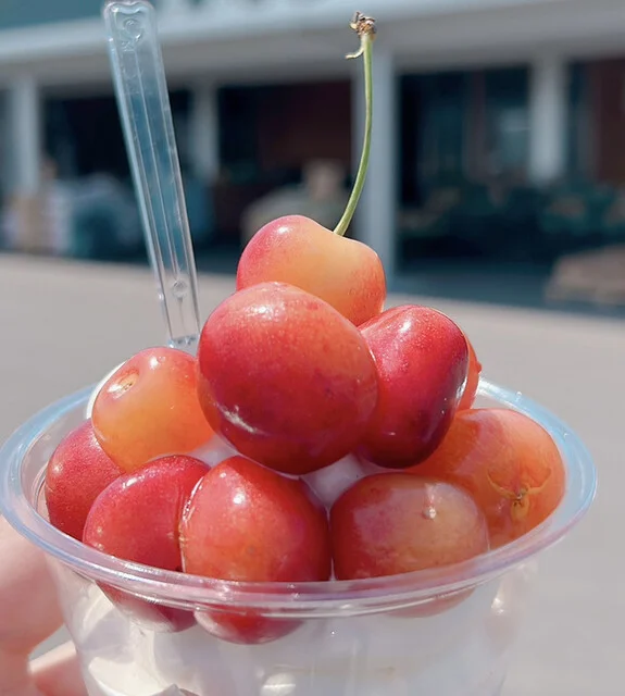 生駒農場 - 蔵王町その他（その他）の写真