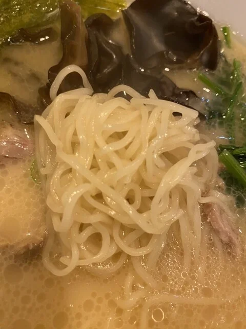 麺屋ビギナー - 中央弘前（ラーメン）の写真