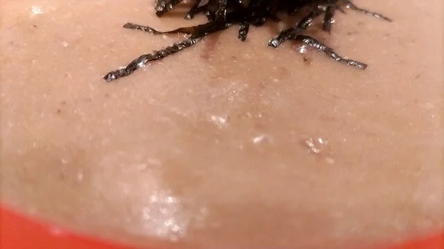 Ramen HONE LABO ヨドバシ仙台店（ラーメン ホネラボ） - 仙台（ラーメン）の写真