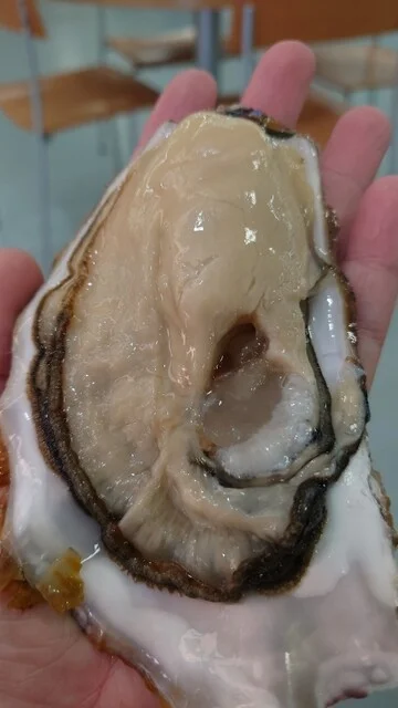 魚介類 濱喜（ギョカイルイハマキ） - 南気仙沼（その他）の写真