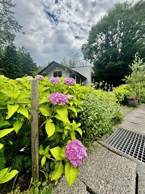 MIDI（ミディ） - 仙台市太白区その他（カフェ）の写真