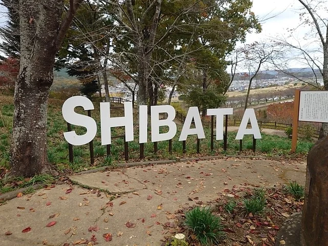 ニューデイズ船岡（NewDays） - 船岡（コンビニ・スーパー）の写真