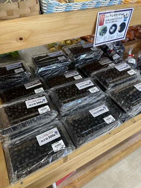 道の駅ひろさき サンフェスタいしかわ - 石川（弘南）（道の駅）の写真