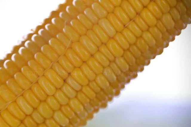 崎野農園 とうもろこし直売所 - 弘前市その他（その他）の写真