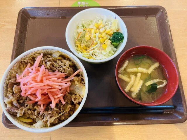 すき家 45号東松島矢本店 - 石巻あゆみ野（牛丼）の写真