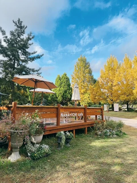 SUNNY SITE COFFEE（サニーサイトコーヒー） - 泉中央（カフェ）の写真