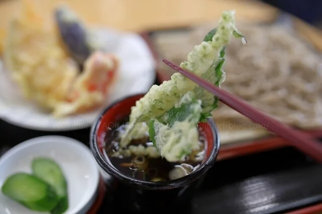十和田そば 道の駅 十和田店 - 十和田市（麺類）の写真