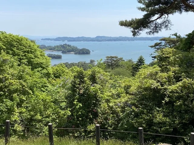 丼松島（DON MATSUSHIMA） - 松島海岸（海鮮）の写真