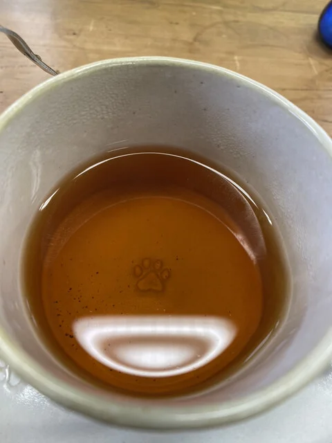 猫の庭 - 筒井（カフェ）の写真