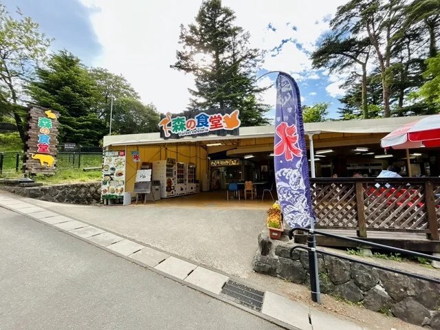 森の食堂 - 八木山動物公園（食堂）の写真