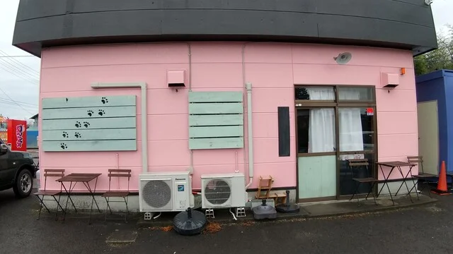 猫神シフォンケーキ ねこるん - 北丸森（ケーキ）の写真