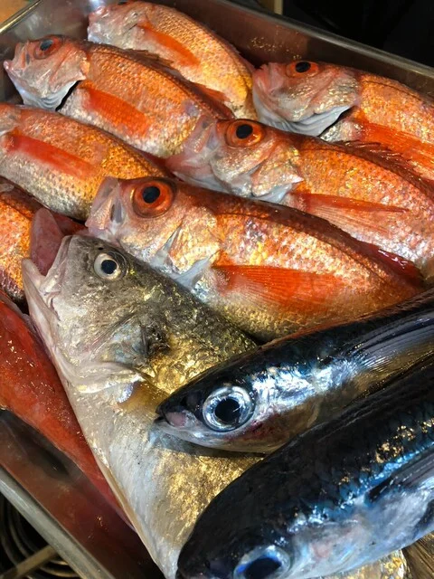 郷土ダイニング 鮪山 - 弘前（居酒屋）の写真