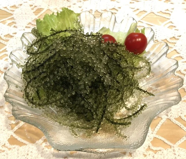 呑蔵（のむぞう） - 東仙台（居酒屋）の写真