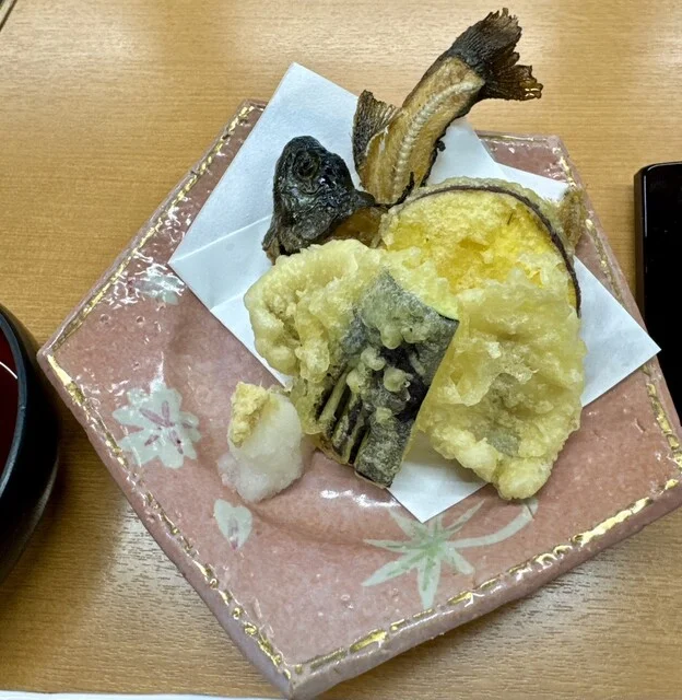 谷地温泉 - 八甲田山（旅館・民宿）の写真