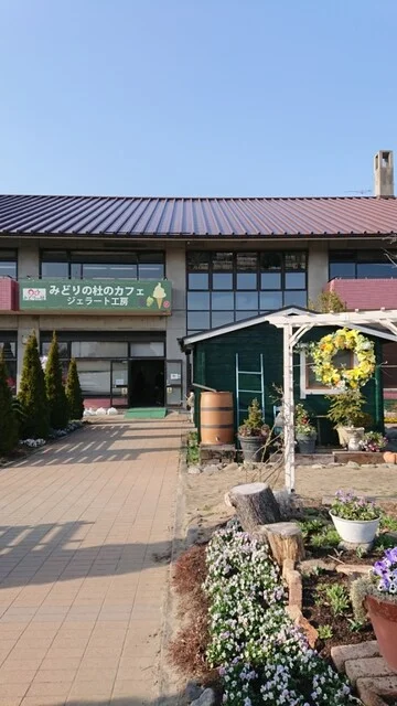 みどりの杜のカフェ - 荒井（カフェ）の写真